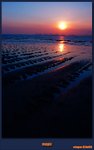 wo-dsc_6545
