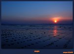 wo-dsc_6554