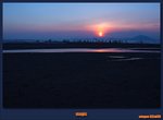 wo-dsc_6557