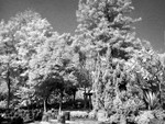 Test - Infrared