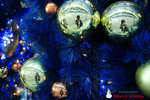 EOS_350D_4436