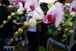EOS_350D_1121_resize