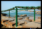 fence