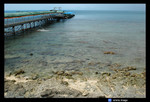 westisland-1