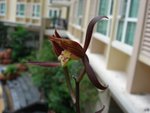 DSC00079