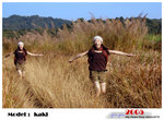 kaki_14jpg