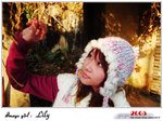 lily_13l