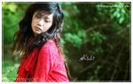 Kinki_03