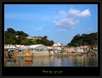DSC_4455copy