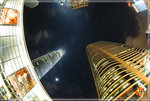 fish_0005