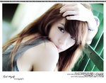 mcyy_0011