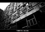 C_003