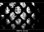 C_009
