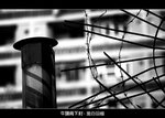 C_012