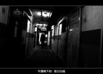 C_017