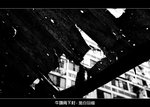 C_019