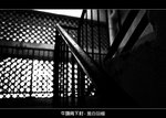 C_020
