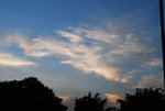 DSC_1627