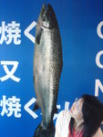 DSC01190