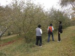 06 searching