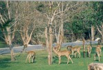 scan0071