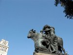 IMG_1365