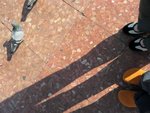 IMG_1368