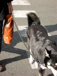 IMG_1382