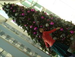 DSC02928