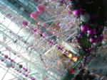 DSC02954