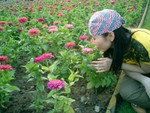 CIMG0077