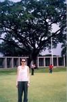 scan0010