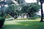 scan0024