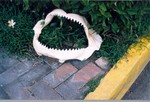scan0025