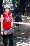 scan0034