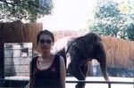 scan0035