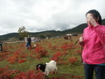 PICT0111