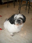 �ɲ�
IMGP1071