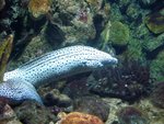 IMG_1697