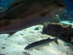 IMG_1701