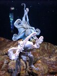 IMG_1702