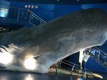 IMG_1710