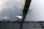IMG_1942