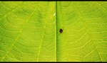 IMG_7510 copy