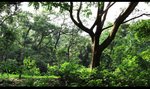 IMG_7580