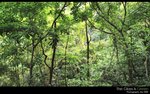 IMG_7745