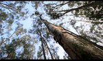 IMG_7778 copy