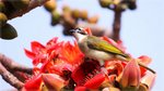 IMG_1935