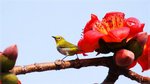 IMG_1979