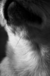IMG_0763